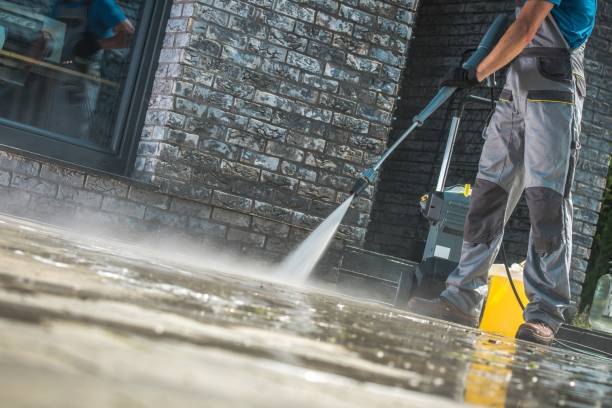 Best Soft Washing  in Piedmont, AL