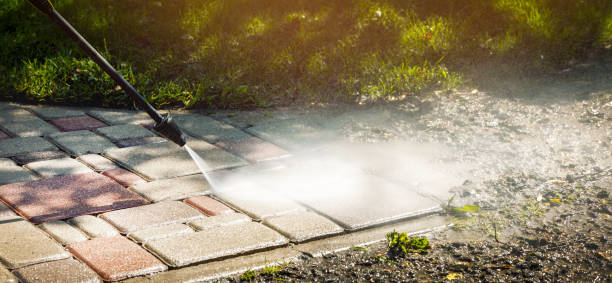 Best Gutter Cleaning  in Piedmont, AL